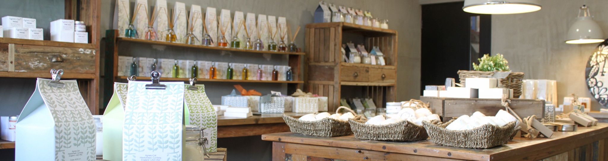 Productos Esenciales para su Tienda