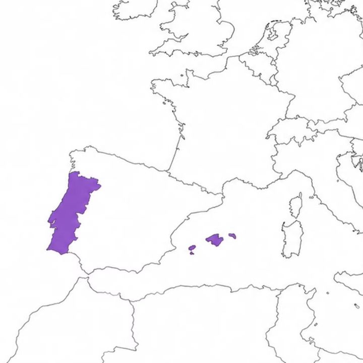 PT